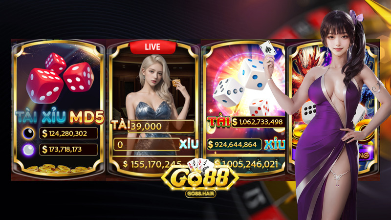 Banner www.hd3243.com